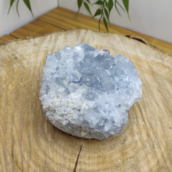 Druse de célestine M4 462g