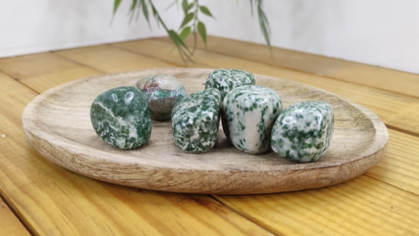 Pierre roulée agate arbre