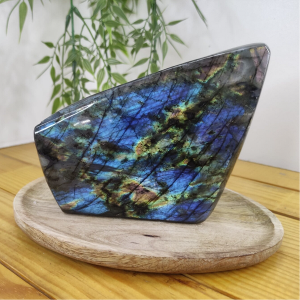Forme libre labradorite