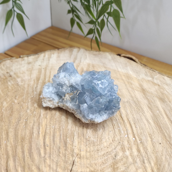 Druse de célestine M2 170g