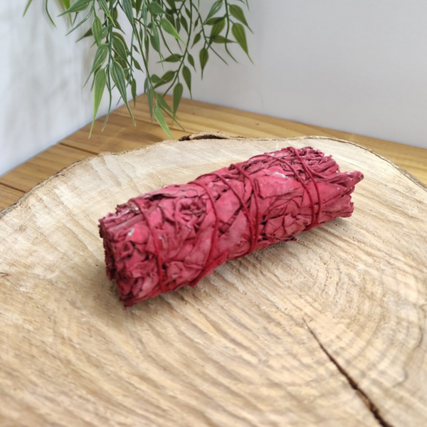 Sauge Rouge "sang de dragon"