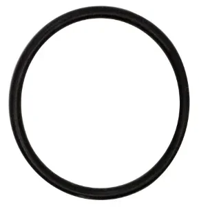 T-E Joint torique embout refroidisseur tubulaire ref D242704