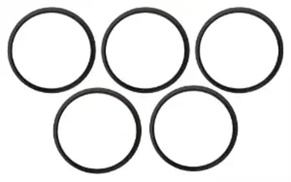 T-E MS Sachet de joint (5) pour vérin Isolator 1 ref D255542