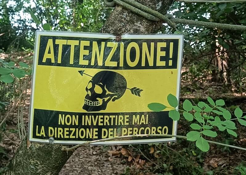 attenzione-standard-1uolzn.jpg