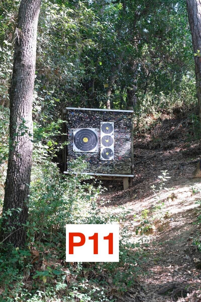 p11-standard-zhaglh.jpg