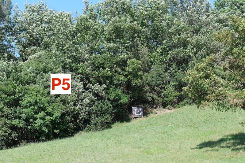 p5-standard-i6fdjg.jpg