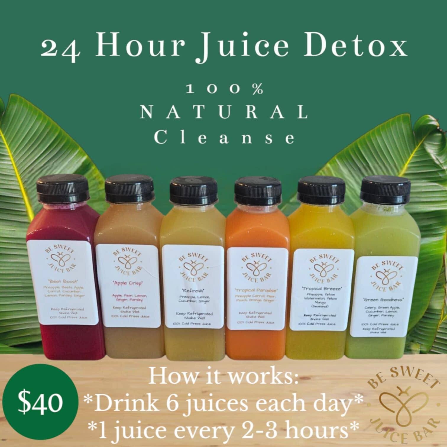 24 HOUR (1 DAY) JUICE DETOX