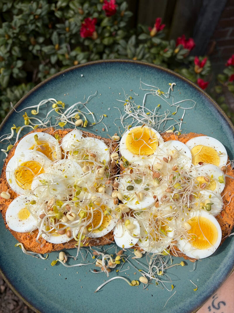 Volkoren desem met pikante humus, gekookt ei en verse kiemen op een blauw bord.