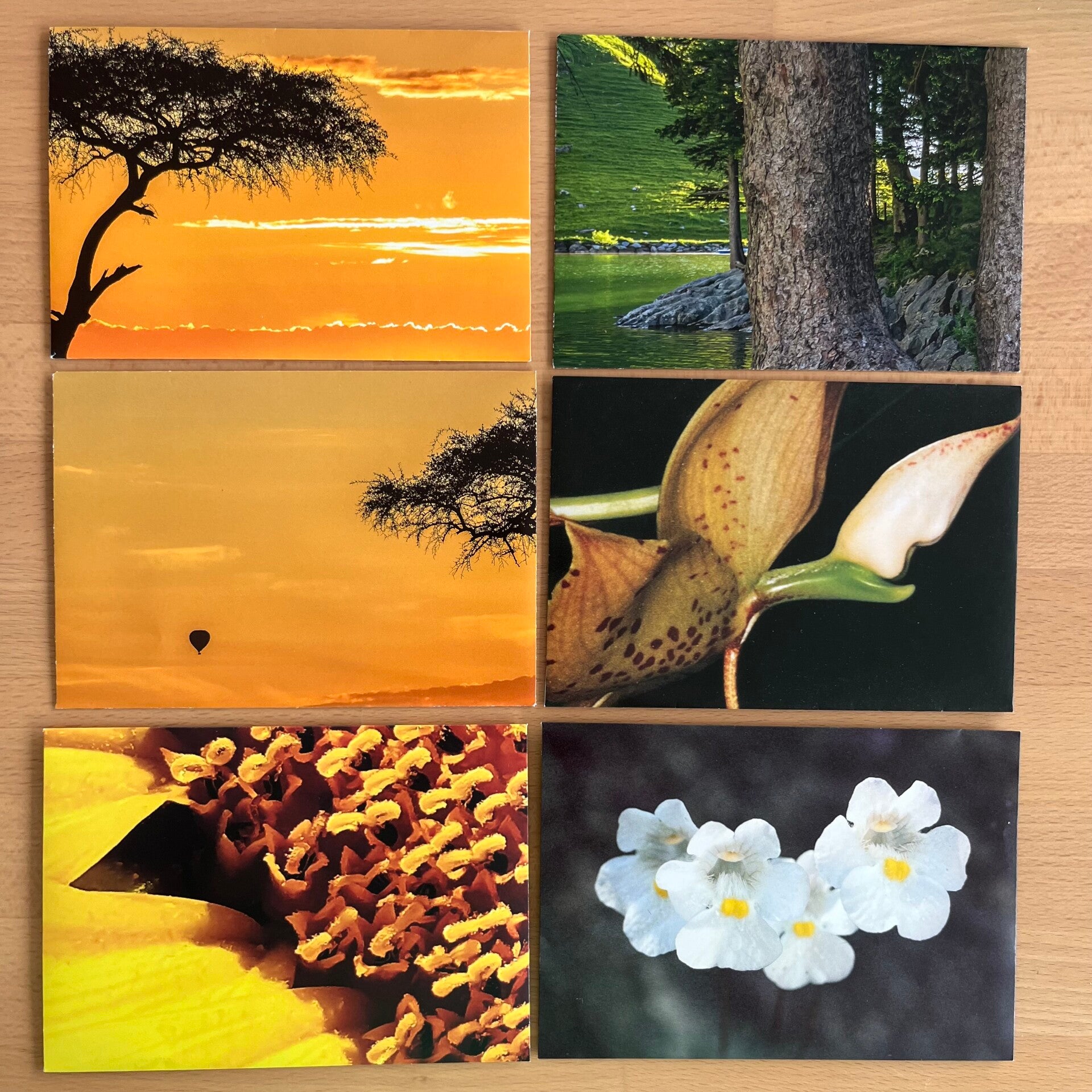 6 C6-Couverts: «Natur» / Upcycling