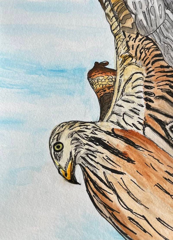 Skizze: Milan / JPEG