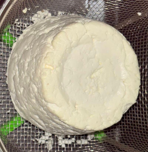 Cheese Program