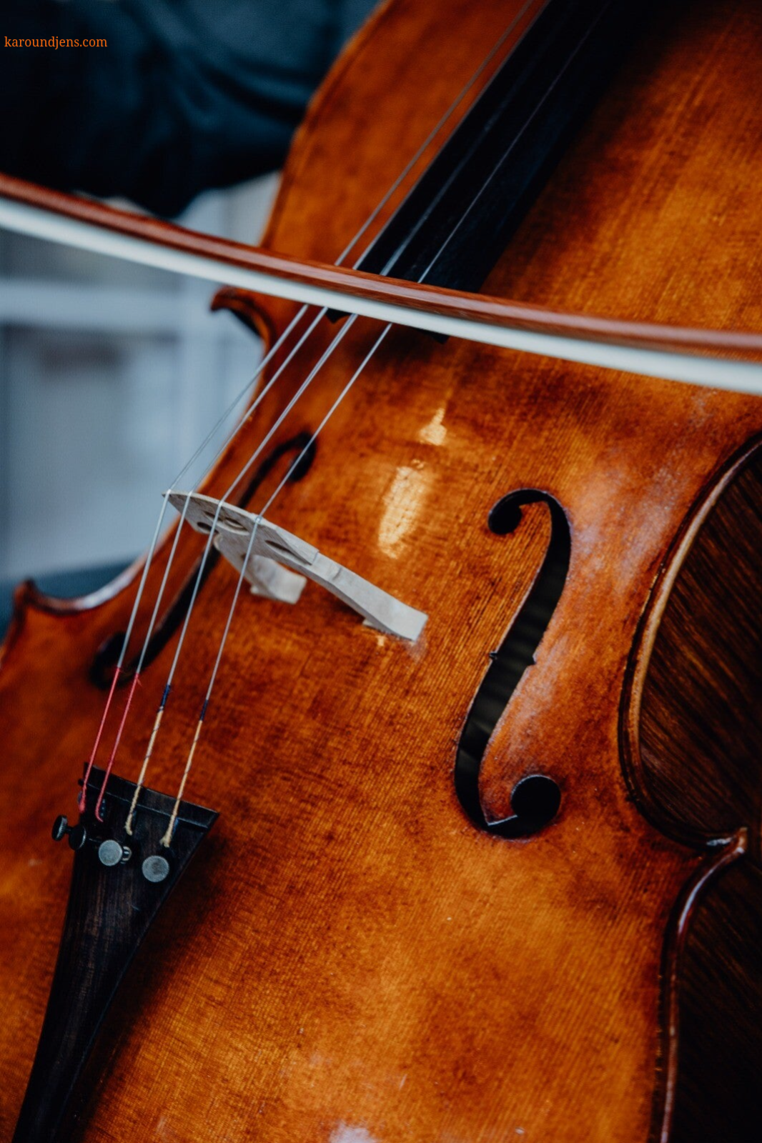 Streichduo, Streichquartett, buchen, Musiker, Feier, Event, Düsseldorf, Koblenz, Wetzlar,  Butzbach, Friedberg