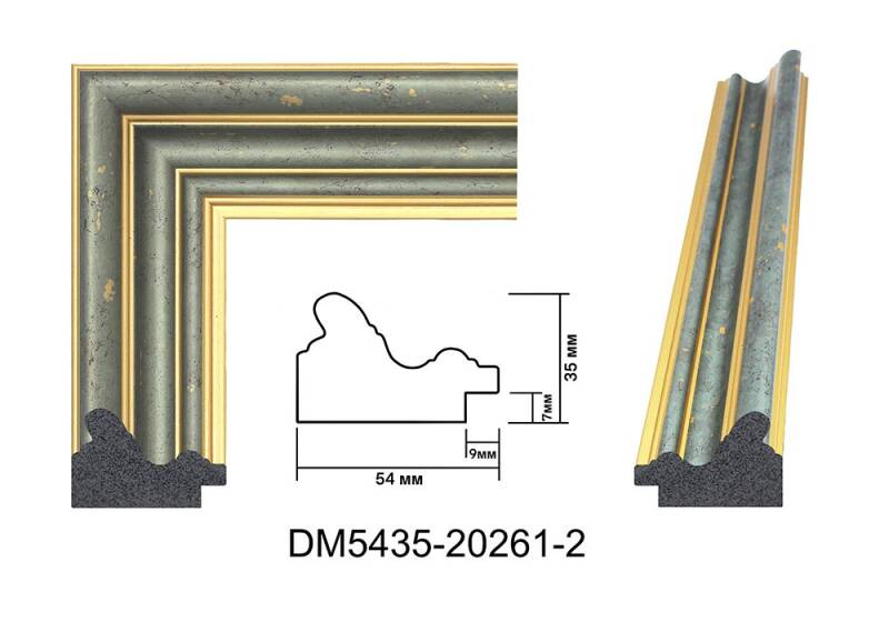 molding-dm5435-20261-2-standard.jpg