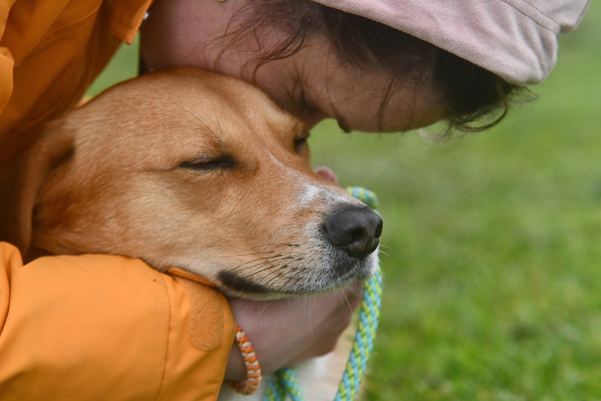 vrouw is een puppy aan het trainen