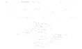 MERAKI