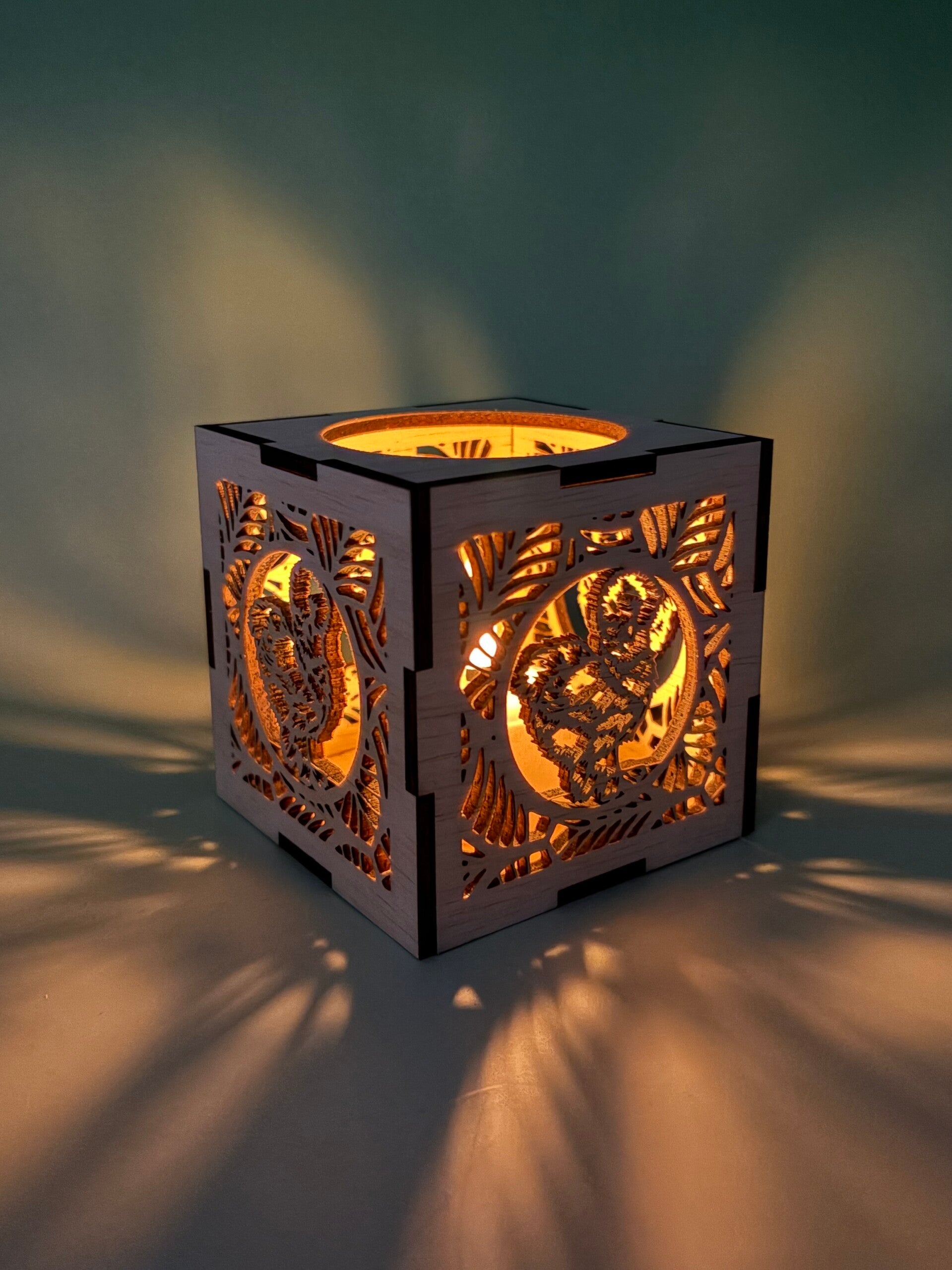 Lantaarn USA Zijdehoen