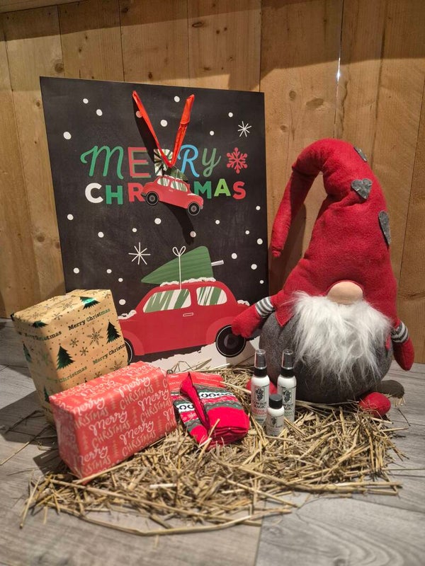 Christmas Surprisebox