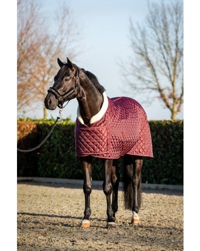 HB Showtime showdeken Burgundy Desir