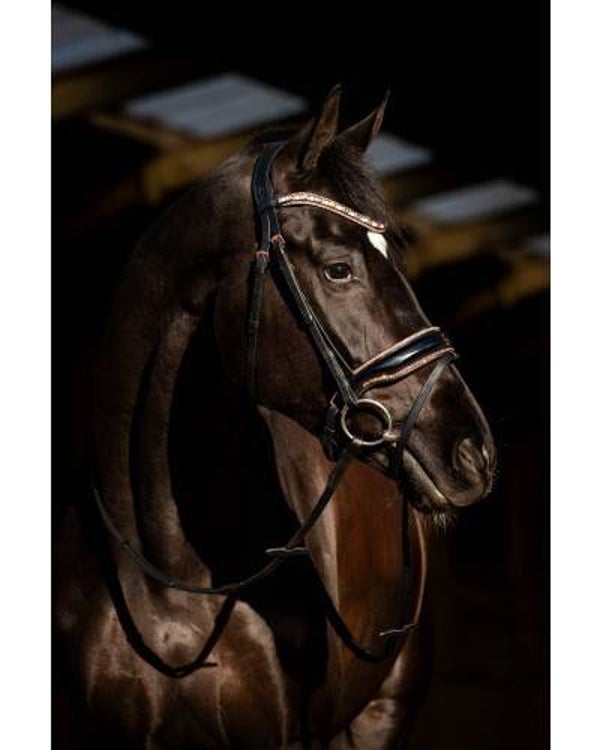 HB Showtime Hoofdstel Copper Sky