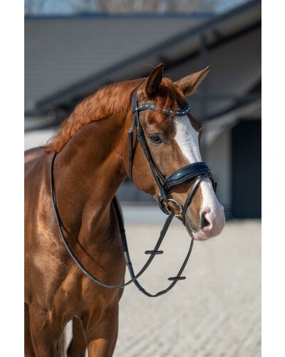 HB Showtime Hoofdstel It Is So Special Zwart/Navy