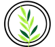 arisenaturalhealthpma