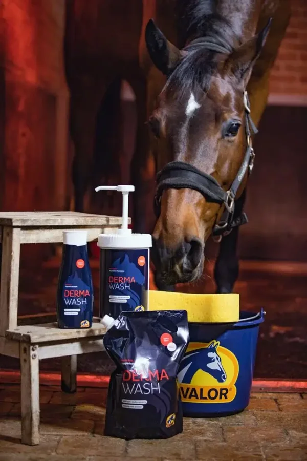 Cavalor  Derma Wash Nachfüllbeutel 2l