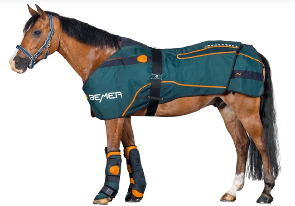 Bemer Horse Set verleih