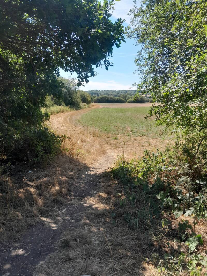 Voilà un chemin à la Serbe !