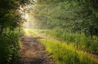 This photo shows a pathway which shows a journey being taken which can lead to anywhere we make happen 