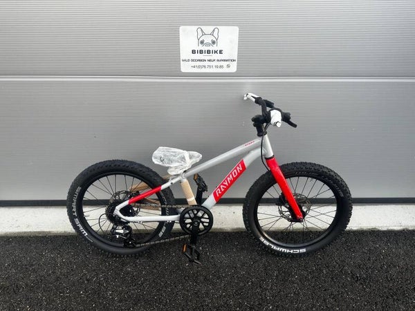 VTT 20 POUCES RAYMON YANGA DISC