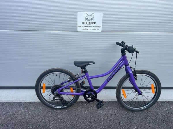 VTT 20 POUCES NALOO CHAMELEON