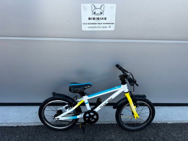 VTT 16 POUCES FROG 48