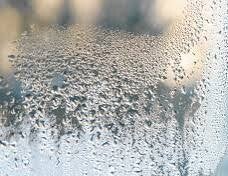 From Window Condensation to a Hidden Mold Nightmare: A Homeowner’s