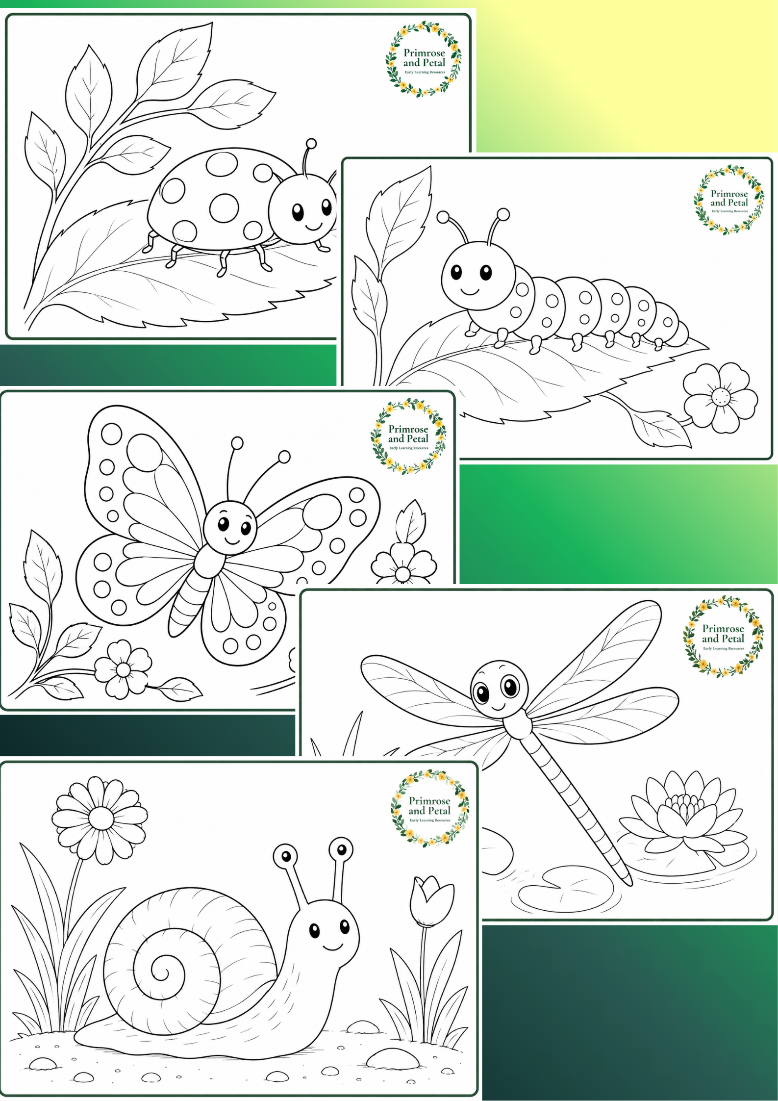 Minibeast Colouring Sheets Pack