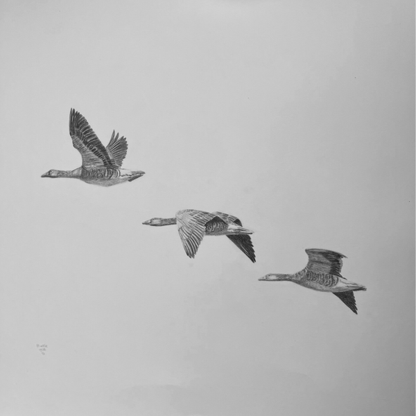 Wild Geese Original