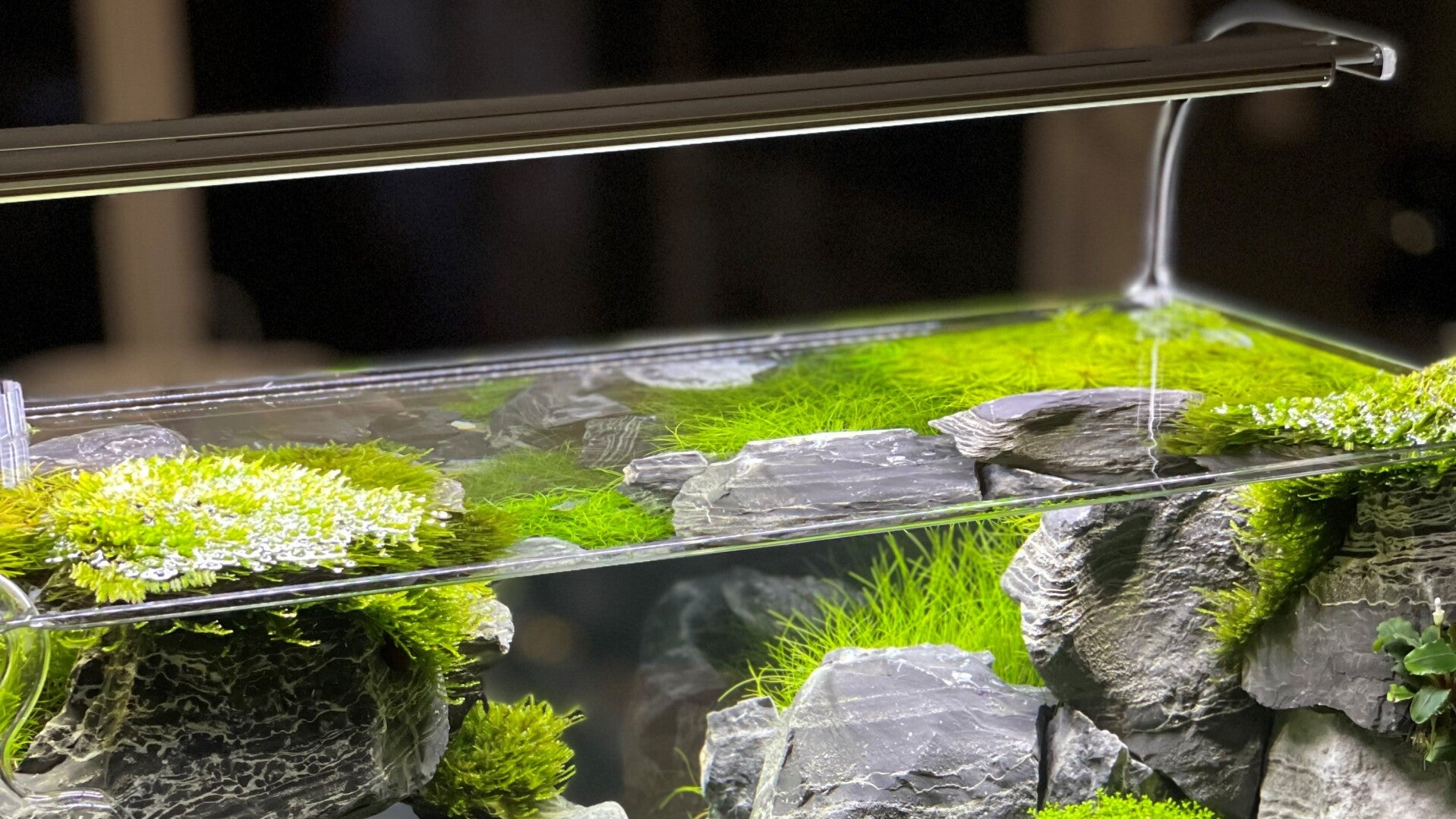 ONEX Acryl Nano Adapter Set