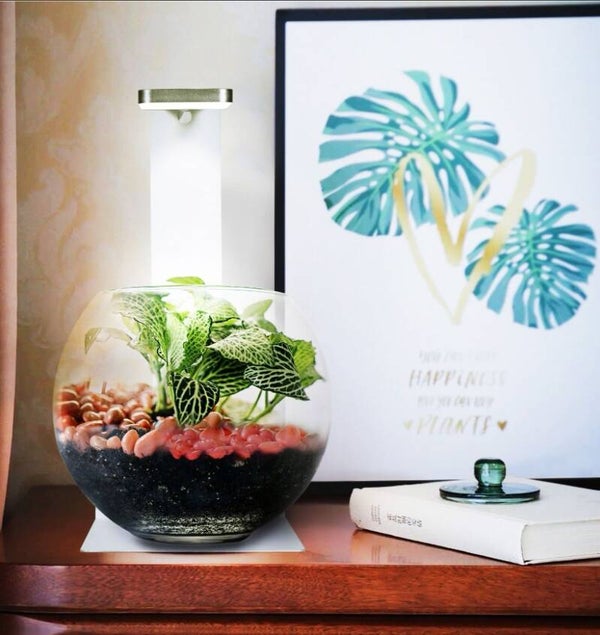 MICMOL Magnetic Light