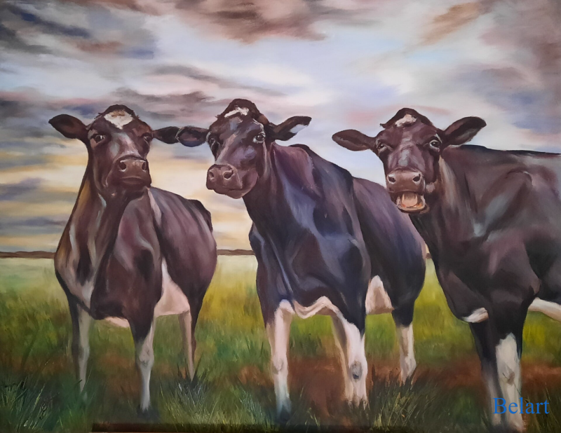 Koeien Belart portretschilderijen