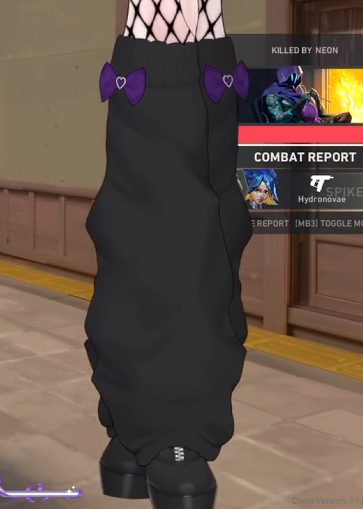 snapradoodle-2-standard.png