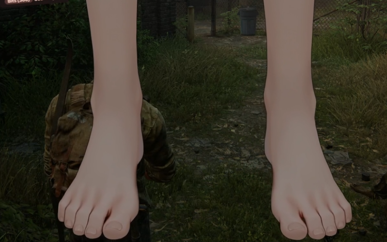 sonneflower-standard.png
