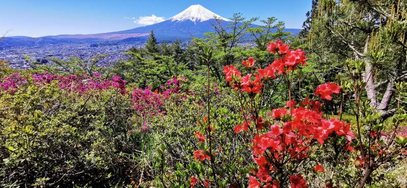 Mt. Fuji | www.japan-tours.de