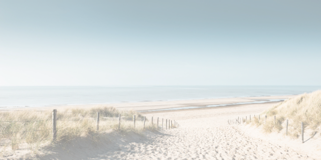 Contact | Sanne ter Zee