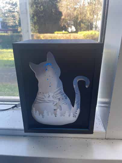 Light Box Animaux