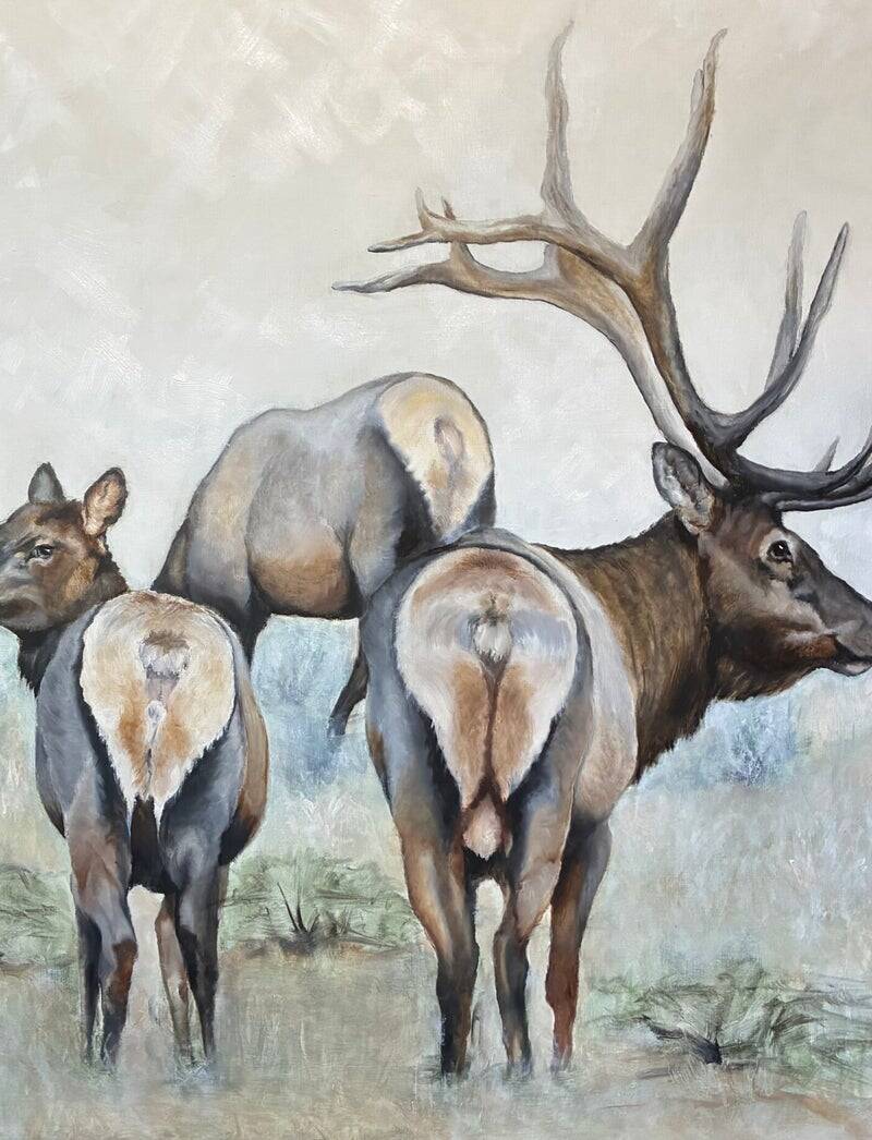 Out From Dark Timber to Sage