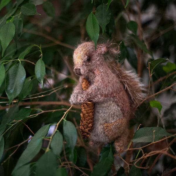 NOISETTE - disponible sur commande