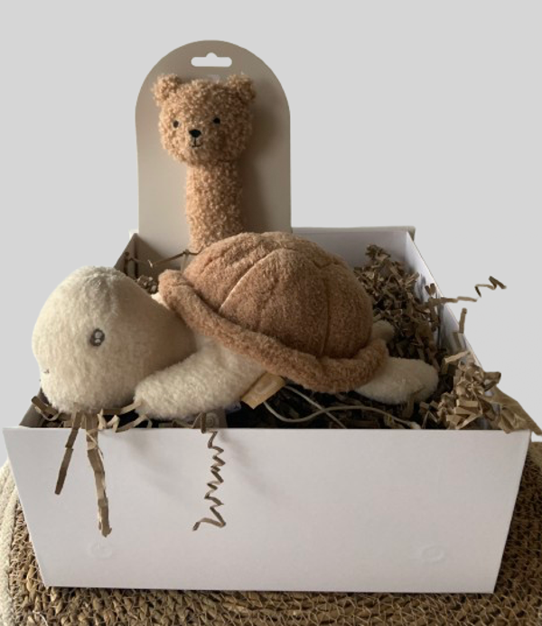 Kraamcadeaupakket | Medium | Turtle | Chris