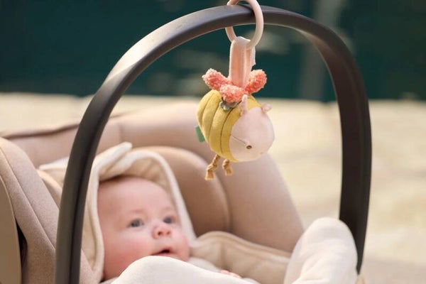 Wagenhanger | Pretty Picnic | Bee