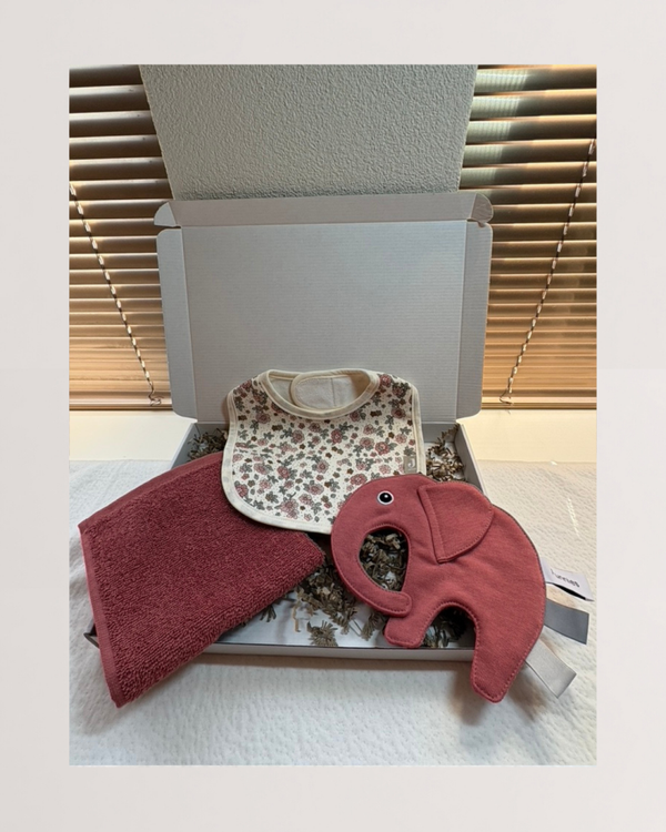 Brievenbuscadeau | Pakket Bjorn22