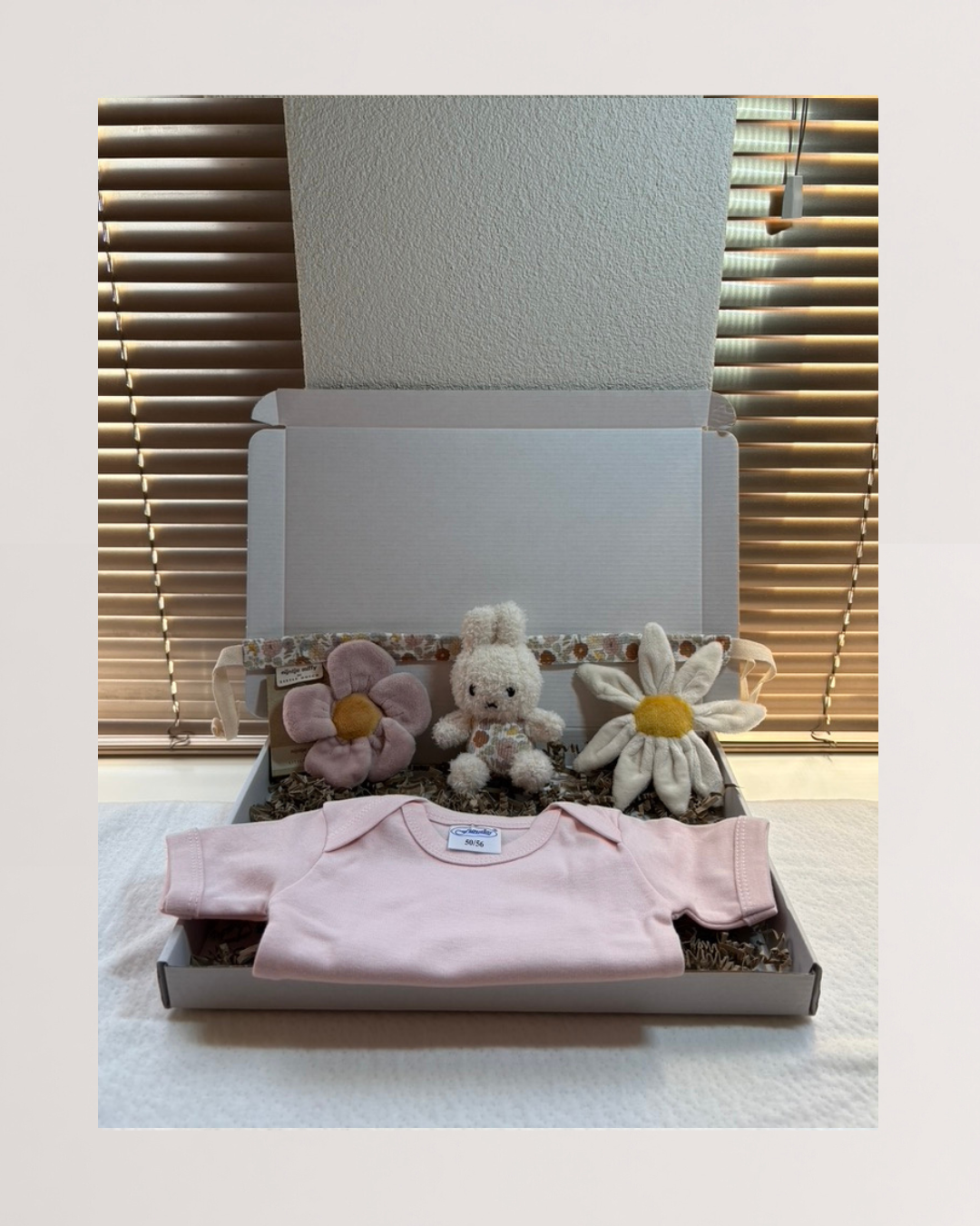 Brievenbuscadeau | Pakket Bjorn24