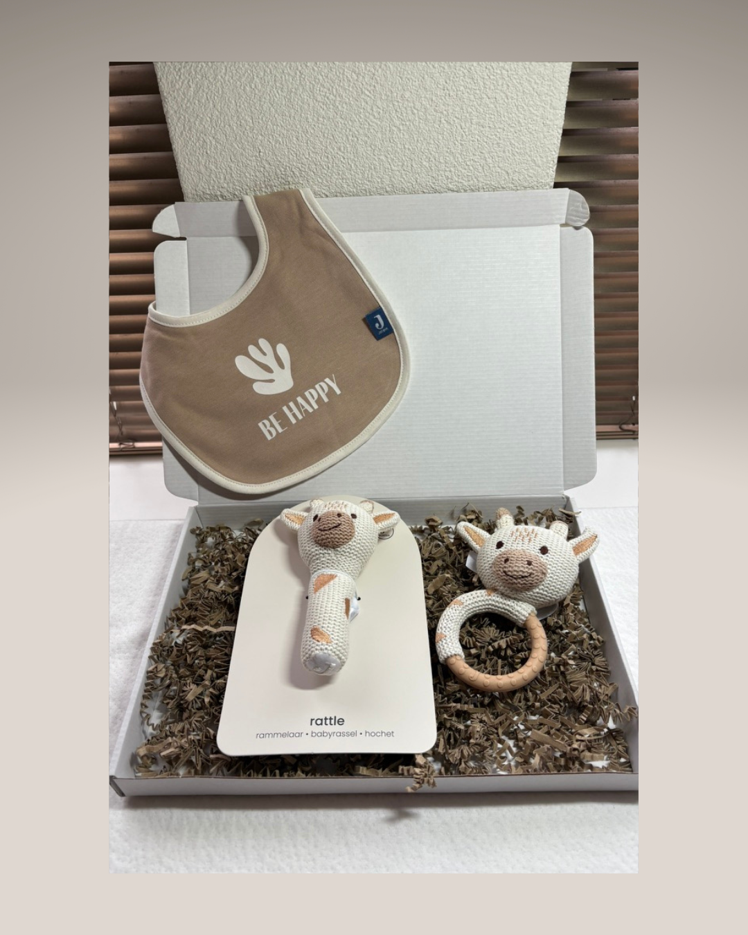 Brievenbuscadeau | Pakket Giraf